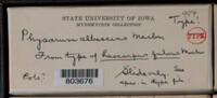 Image Associated With the Occurence